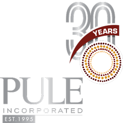 https://web.ssrdesigns.co.za/pule2/wp-content/uploads/2024/03/Footer-Logo-Silver.png